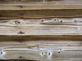 oxidado clavo, resistido tableros de un abandonado granero con agrietado de madera tablones foto