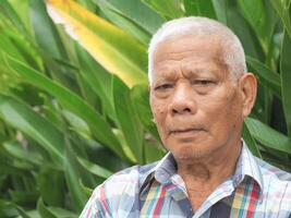 Portrait of a senior Asian man smiling and looking at the camera while standing in a garden. Space for text. Concept of aged people and healthcare photo