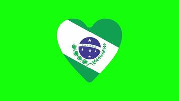 effect pulse hart vlag staat van Brazilië video