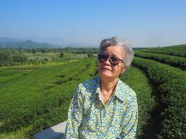 Senior woman wearing sunglasses, smiling and looking at the camera while sitting on a chair in the tea plantation. Space for text. Concept of aged people and relaxation photo