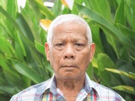 Portrait of a senior man looking at the camera while standing in a garden. Space for text. Concept of aged people and healthcare photo