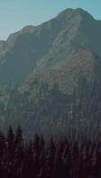 A view of a mountain range with trees in the foreground video