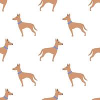 Vector seamless pattern with cute dog isolated on white