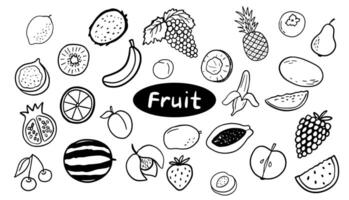 Lemon, apple, banana doodle illustrations. Outline cute fruits isolated on white vector