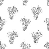 Seamless monochrome pattern with grapes bunch with Leaf and berry. Hand Drawn Vector backdrop on white.