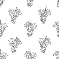 Seamless monochrome pattern with grapes bunch with Leaf and berry. Hand Drawn Vector backdrop on white.