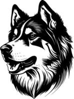 Alaska malamute, negro y blanco vector ilustración