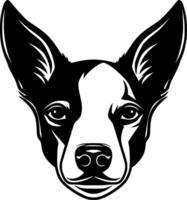 Basenji, Black and White Vector illustration