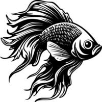 Betta Fish - High Quality Vector Logo - Vector illustration ideal for T-shirt graphic