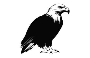 Flying Bald Eagle black and white Silhouette vector, A Bald Eagle black Silhouette Vector isolated on a white background