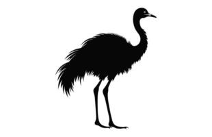 Emu Silhouette isolated on a white background, A Ostrich emu black silhouette, Australian Emu Bird Vector