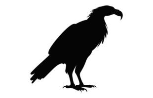 Big Griffon Vulture silhouette isolated on a white background, A Flying Griffon Vulture Beak black vector