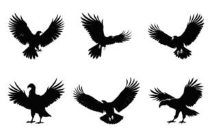 Flying Vulture Beak black silhouettes Set, Big Griffon Vulture Silhouette Vector Bundle