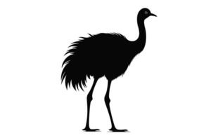 Emu Silhouette isolated on a white background, A Ostrich emu black silhouette, Australian Emu Bird Vector