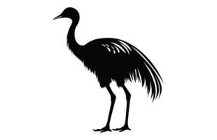 Emu Silhouette isolated on a white background, A Ostrich emu black silhouette, Australian Emu Bird Vector