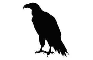 Big Griffon Vulture silhouette isolated on a white background, A Flying Griffon Vulture Beak black vector