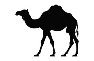 Camel black Silhouette vector isolated on a white background