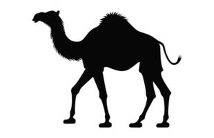 Camel black Silhouette vector isolated on a white background