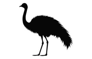 Emu Silhouette isolated on a white background, A Ostrich emu black silhouette, Australian Emu Bird Vector