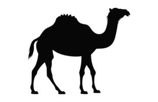 Camel Silhouette black vector isolated on a white background