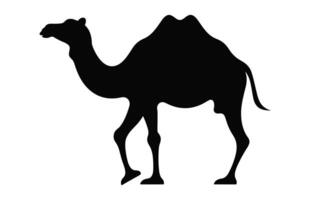 Camel black Silhouette vector isolated on a white background