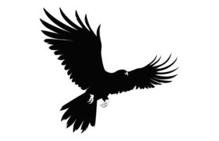 Flying Griffon Vulture Beak black vector, Big Griffon Vulture silhouette isolated on a white background vector