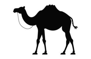 Camel Silhouette black vector isolated on a white background