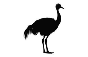 Emu Silhouette isolated on a white background, A Ostrich emu black silhouette, Australian Emu Bird Vector