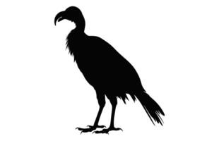 Big Griffon Vulture silhouette isolated on a white background, A Flying Griffon Vulture Beak black vector