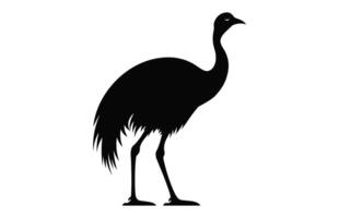 Emu Silhouette isolated on a white background, A Ostrich emu black silhouette, Australian Emu Bird Vector