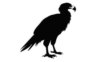 Big Griffon Vulture silhouette isolated on a white background, A Flying Griffon Vulture Beak black vector