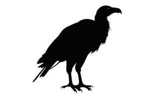 Big Griffon Vulture silhouette isolated on a white background, A Flying Griffon Vulture Beak black vector