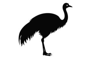 Emu Silhouette isolated on a white background, A Ostrich emu black silhouette, Australian Emu Bird Vector