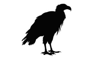 Big Griffon Vulture silhouette isolated on a white background, A Flying Griffon Vulture Beak black vector