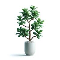 AI generated Branching jade plant in a pot filled with pebbles isolated on white background photo