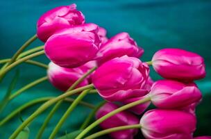 Happy springtime. Tulip festival in city garden. Colorful  flowers. photo