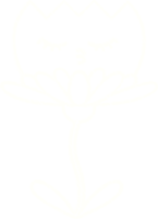 disegno di gesso fiore felice png