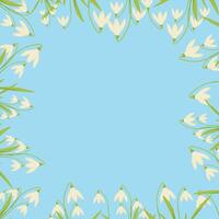 an empty frame with spring flowers. Vector snowdrops on a blue background. place for text