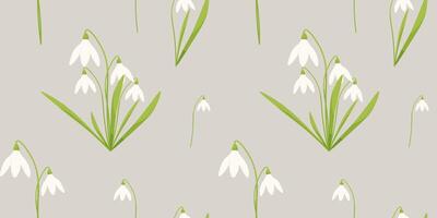 Vector seamless pattern with white snowdrops and green leaves.
