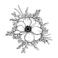 Vector anemone flower with eucalyptus branches and grass hand drawn ink illustration. Field poppy wildflower for logo design and prints