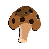 Mushroom flat design cartoon different mushrooms vector illustration, wild mushroom symbol signs, Amanita poisonous. Eps 10