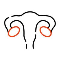 Icon of female reproductive organ in outline design vector