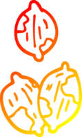 warm gradient line drawing of a cartoon nuts in shells png