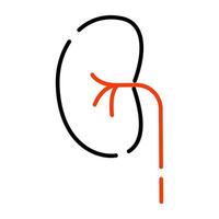 Kidney icon in editable style vector