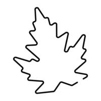 Trendy vector design of autumn leaf