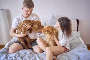 young couple spending time with their animals, a red cat and a cockapoo girl, playing and laughing photo