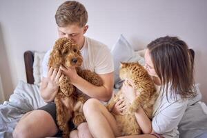 young couple spending time with their animals, a red cat and a cockapoo girl, playing and laughing photo