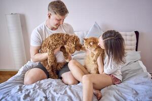 young couple spending time with their animals, a red cat and a cockapoo girl, playing and laughing photo