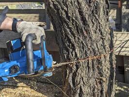 man with chainsaw and chainsaw in the forest photo