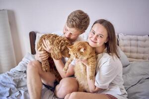 young couple spending time with their animals, a red cat and a cockapoo girl, playing and laughing photo